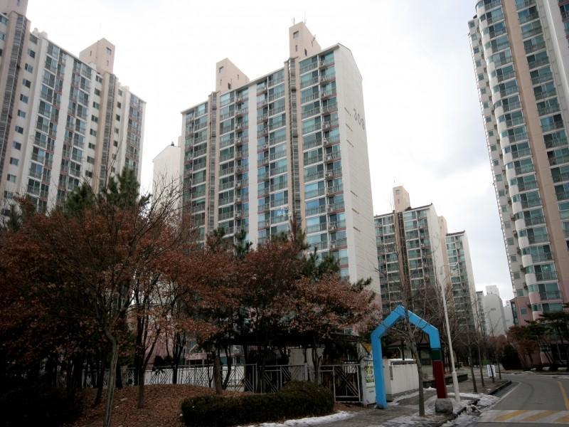 309동