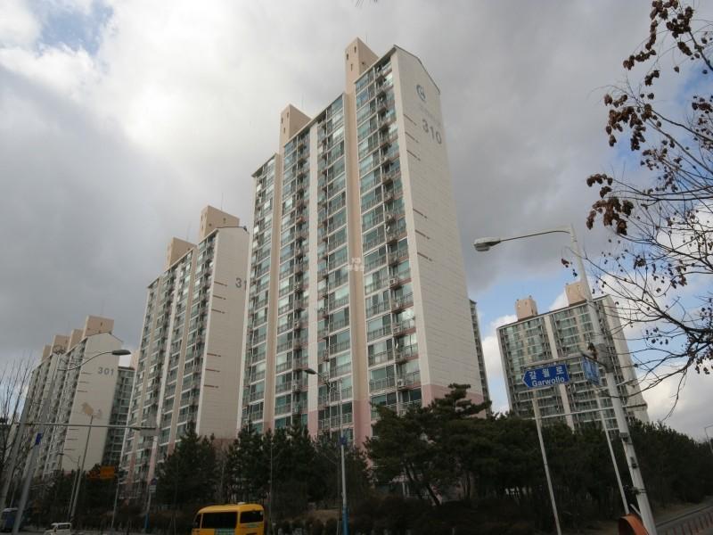 310동