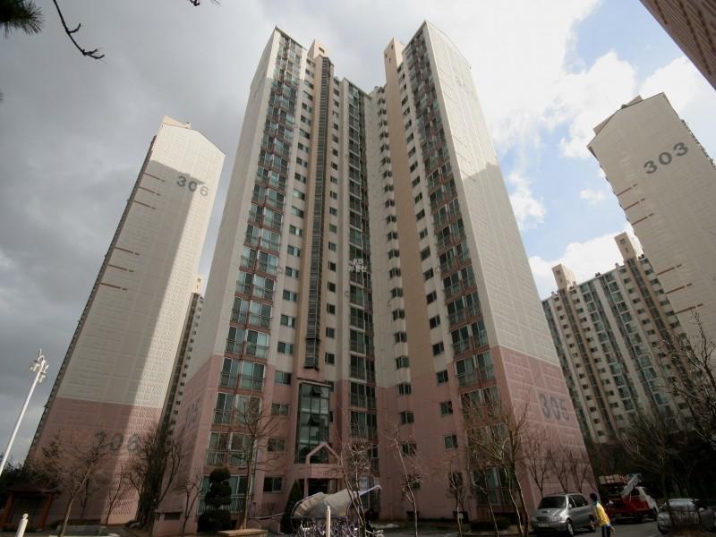 305동