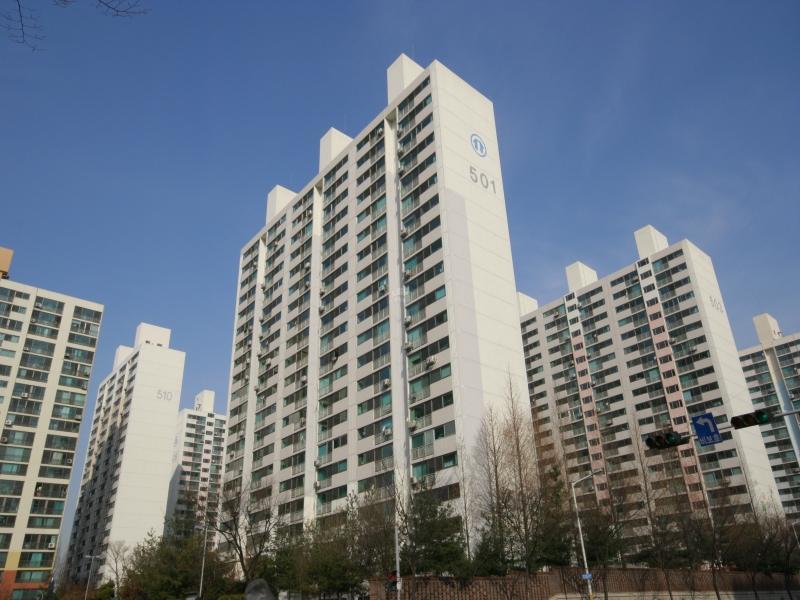 501동
