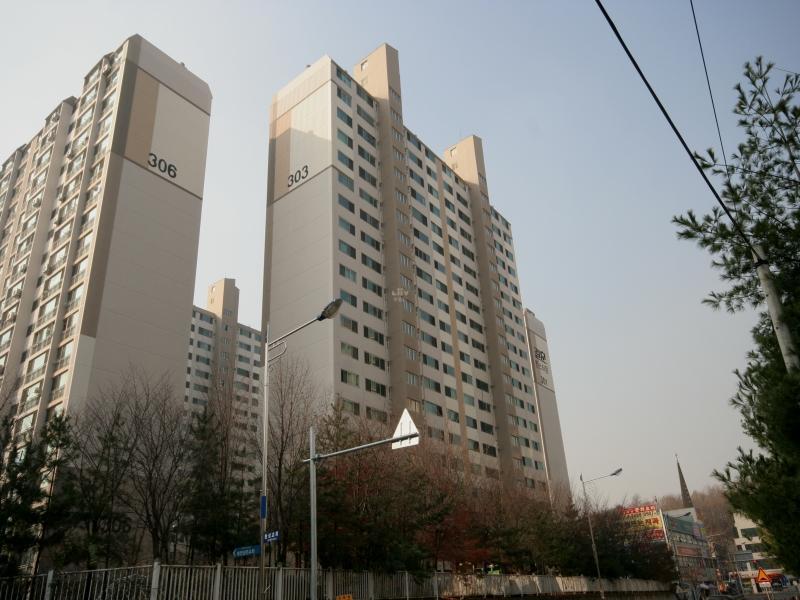 303동