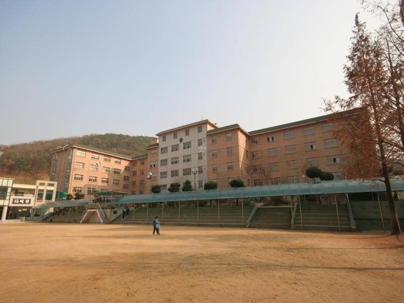 불로초교