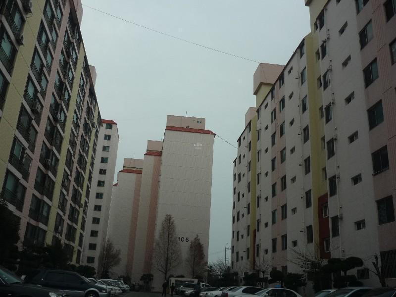 P1030478