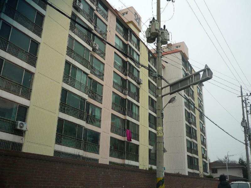 P1030488