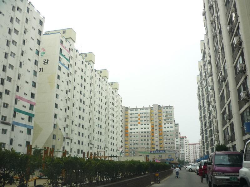 P1030433