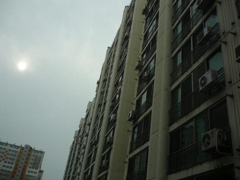 P1030431
