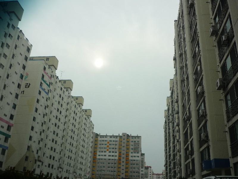 P1030432