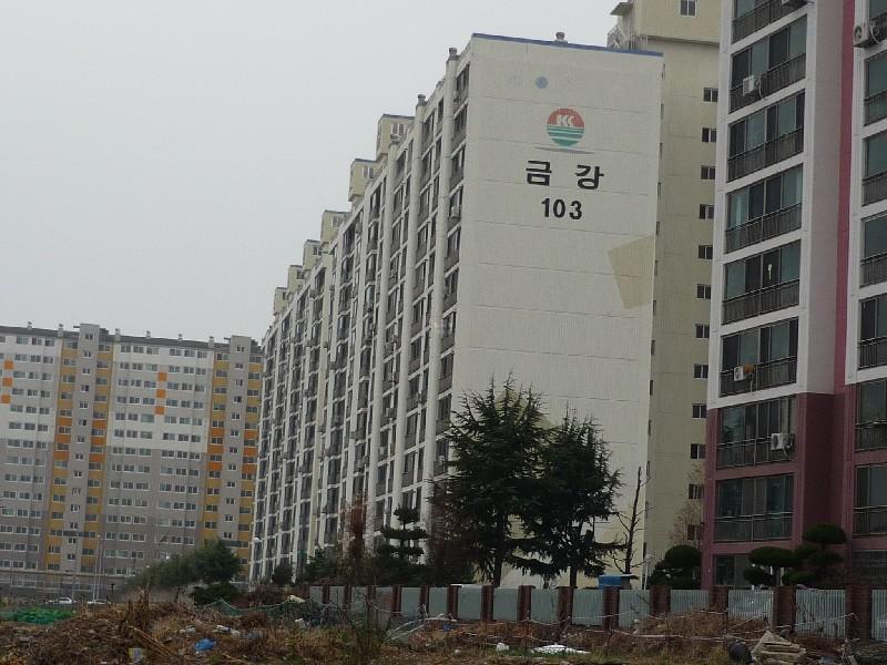 P1030419