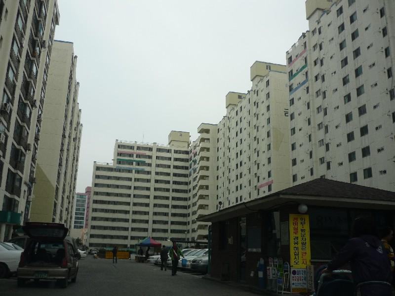 P1030425