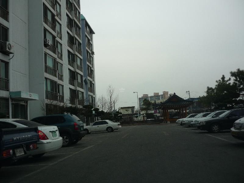P1030609