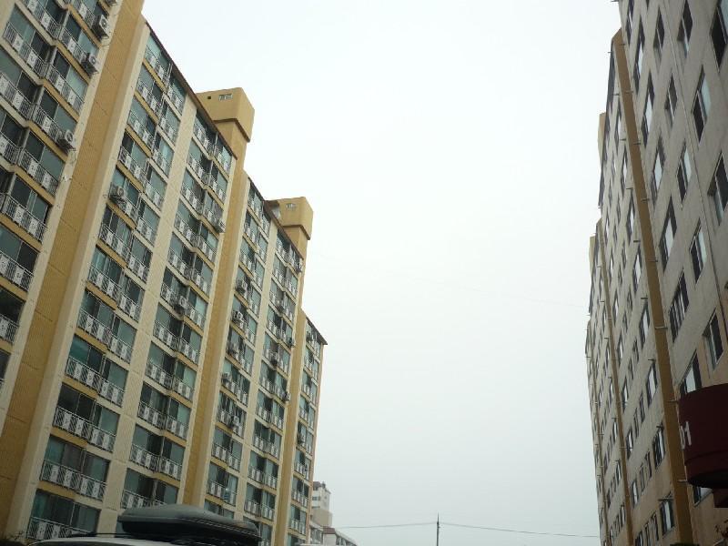 P1030749