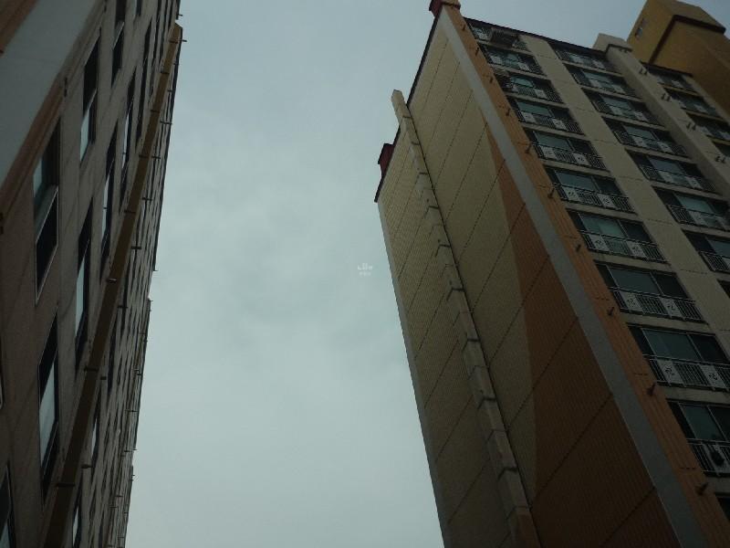P1030753
