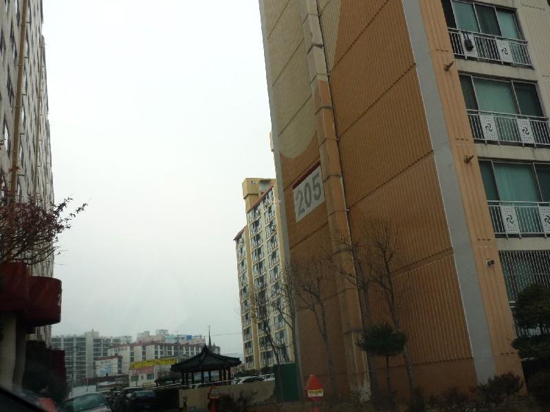 P1030754