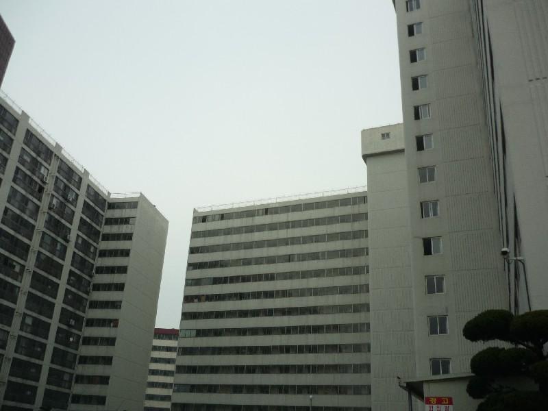 P1030622