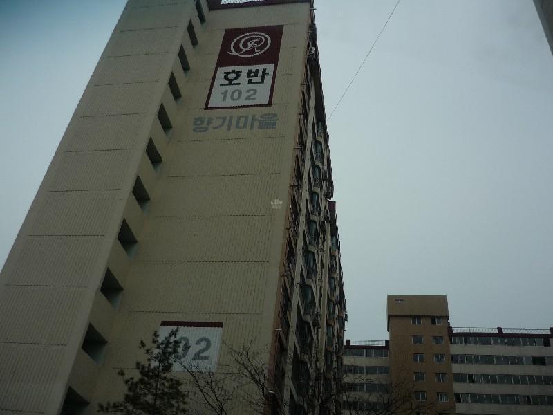 P1030662