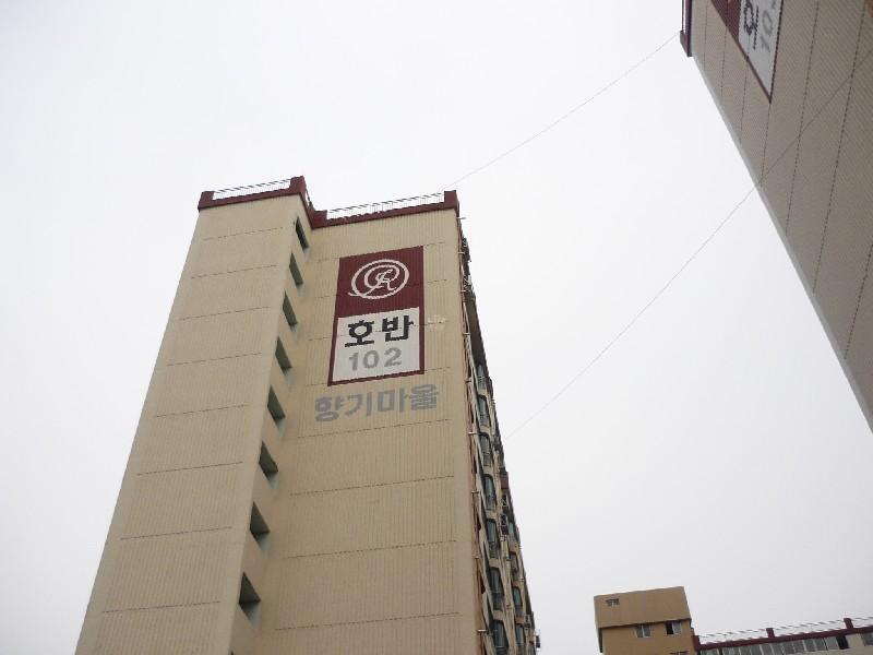 P1030678