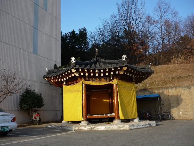 P1030198