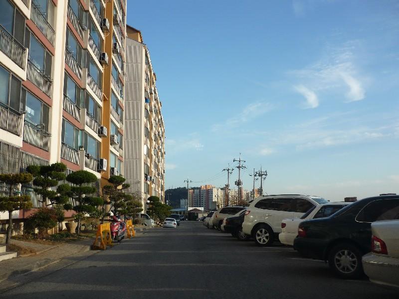P1030201