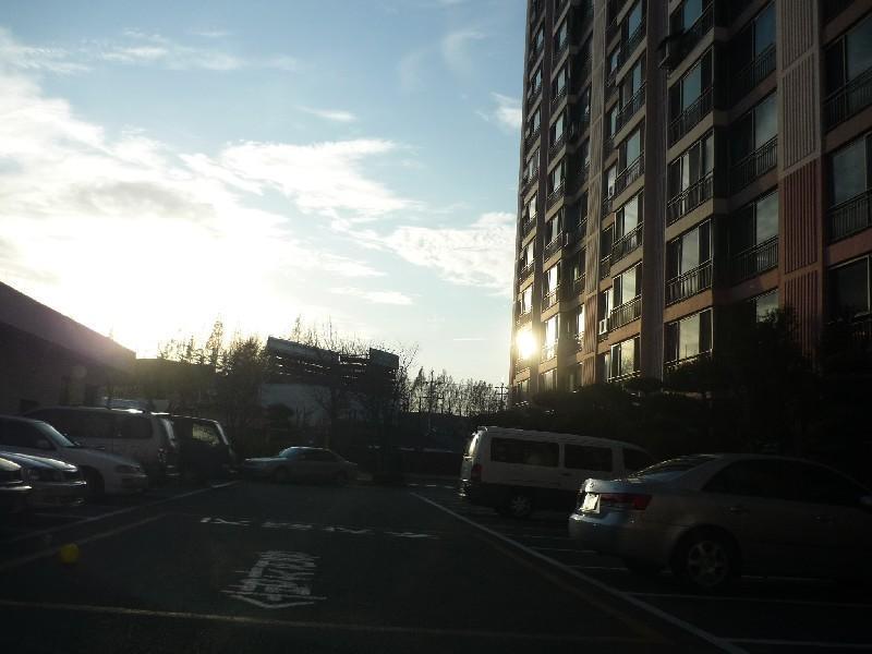 P1030288