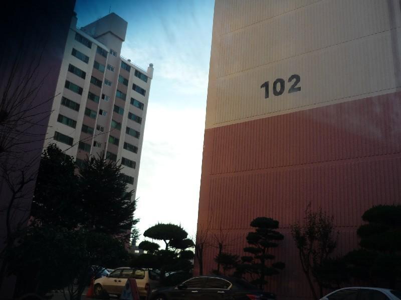 P1030286