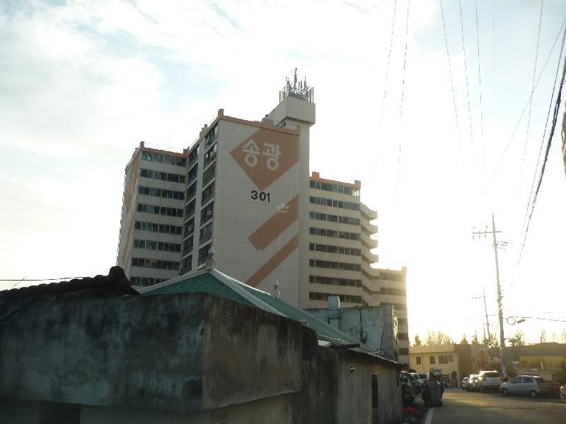 P1030331