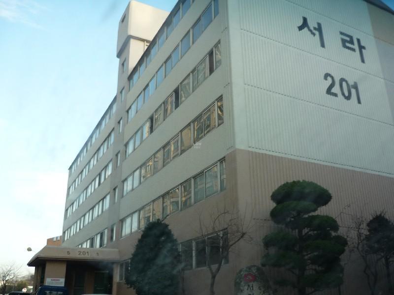 P1030296