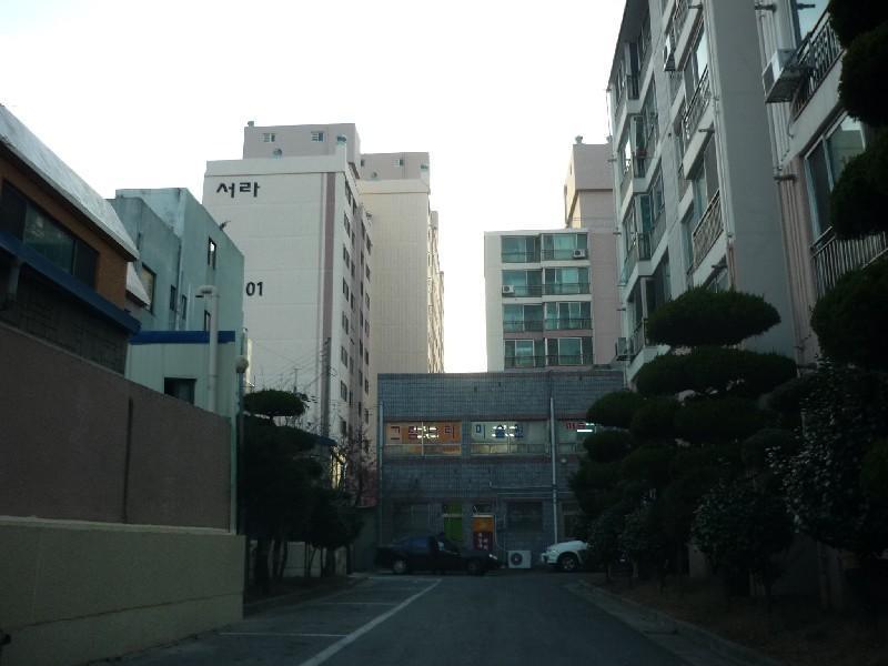 P1030299