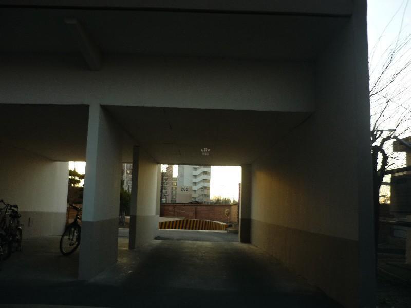 P1030313