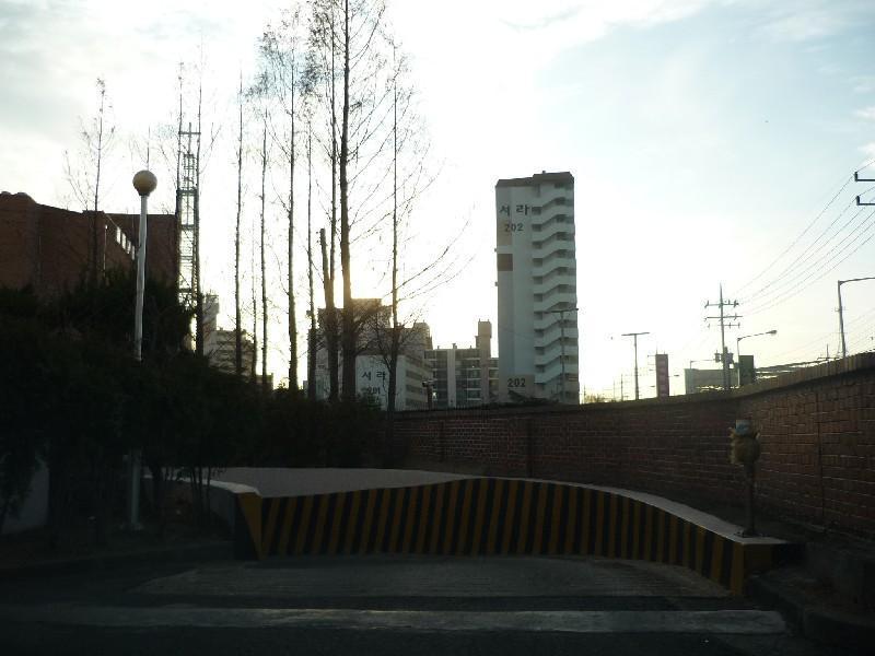 P1030314