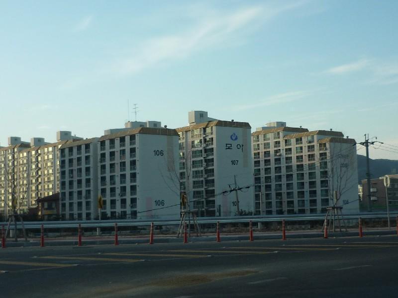 P1030247