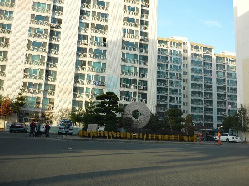 P1030251