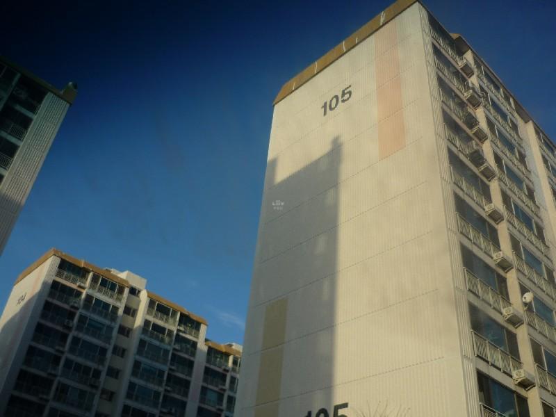 P1030253