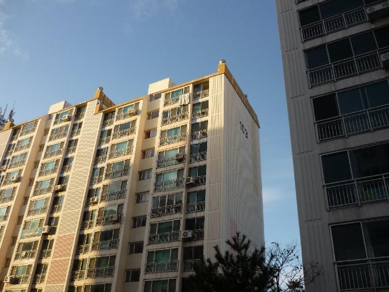 P1030262