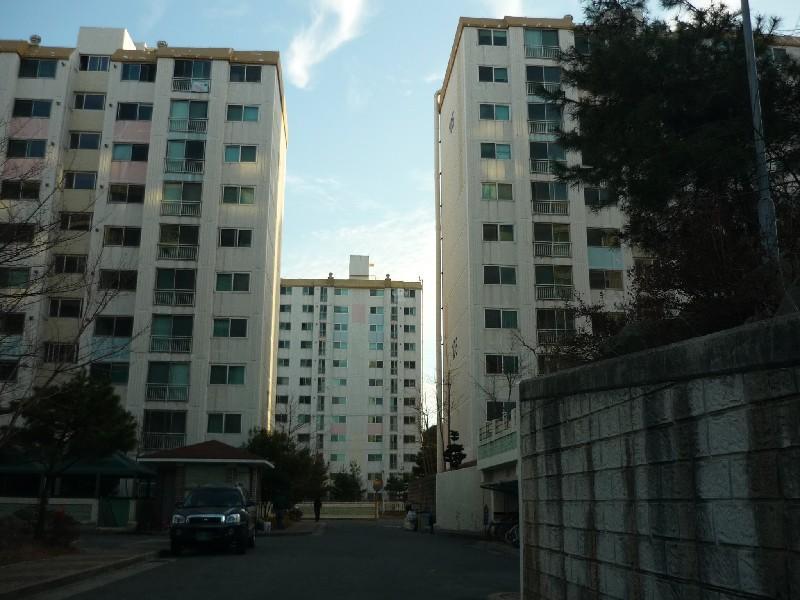 P1030268