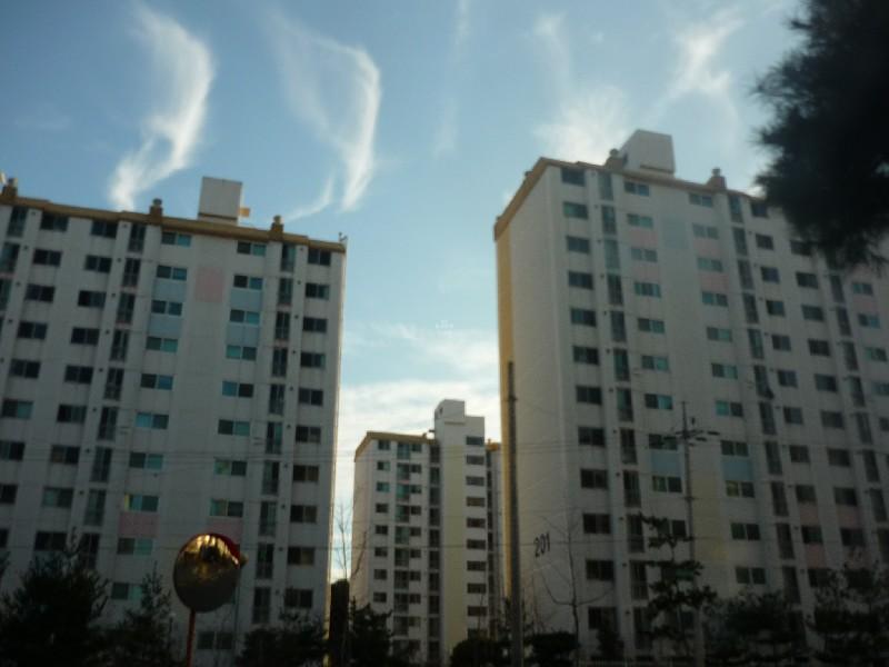 P1030271