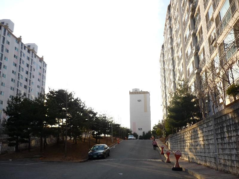 P1030272