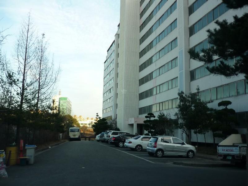 P1030266
