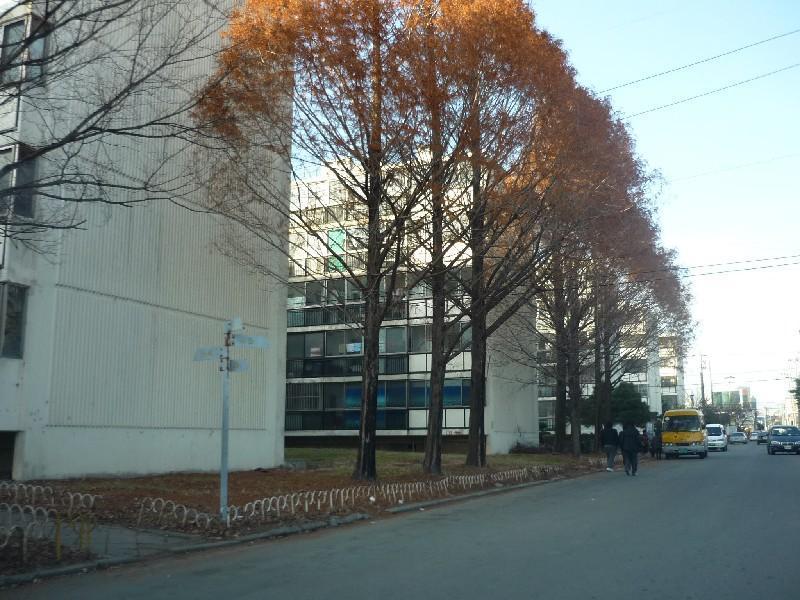 P1030165
