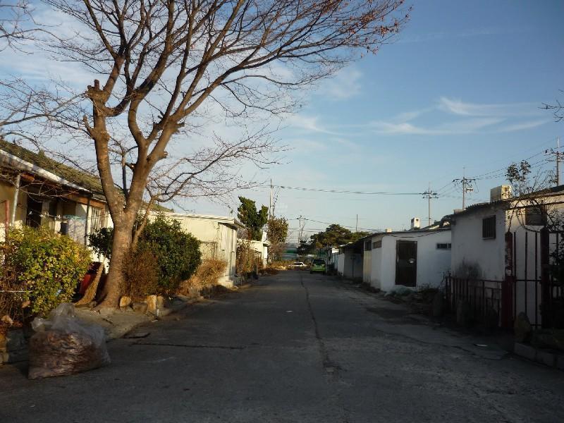 P1030175