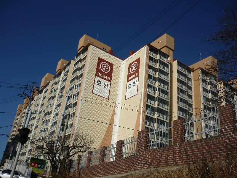 P1010663
