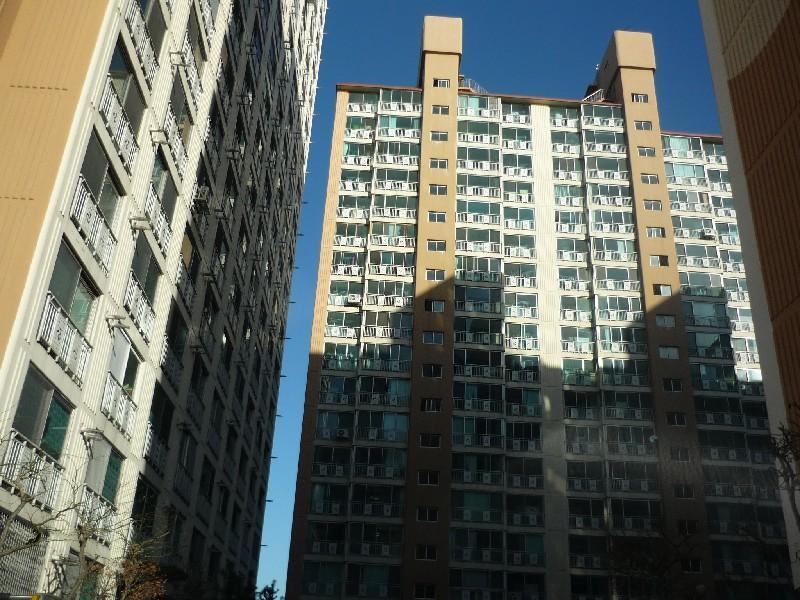 P1010667