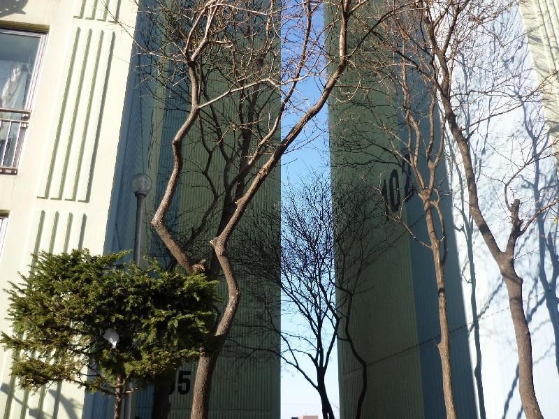 P1010717