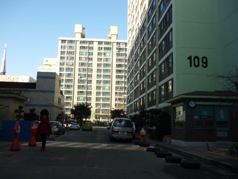 P1010687