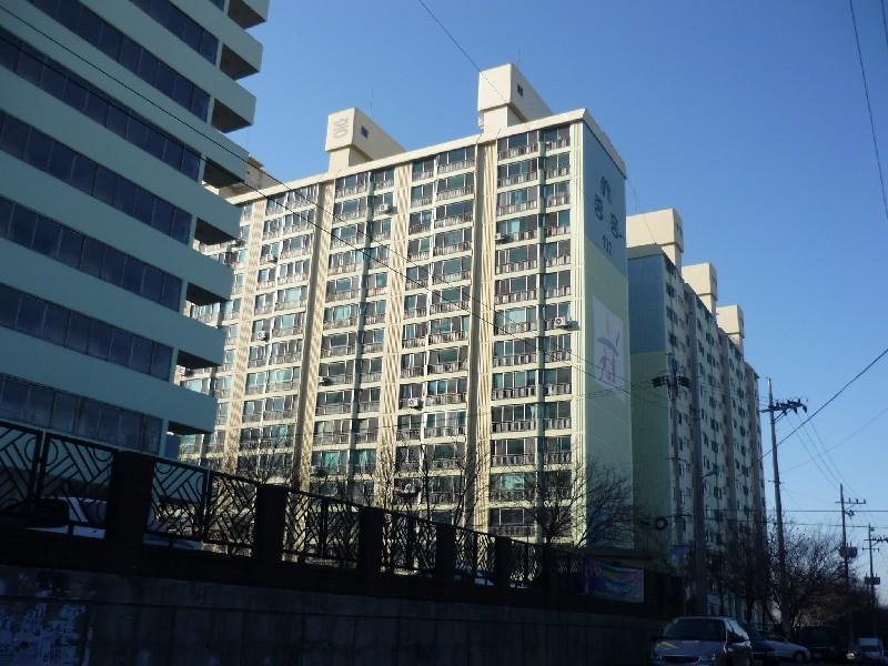 P1010698