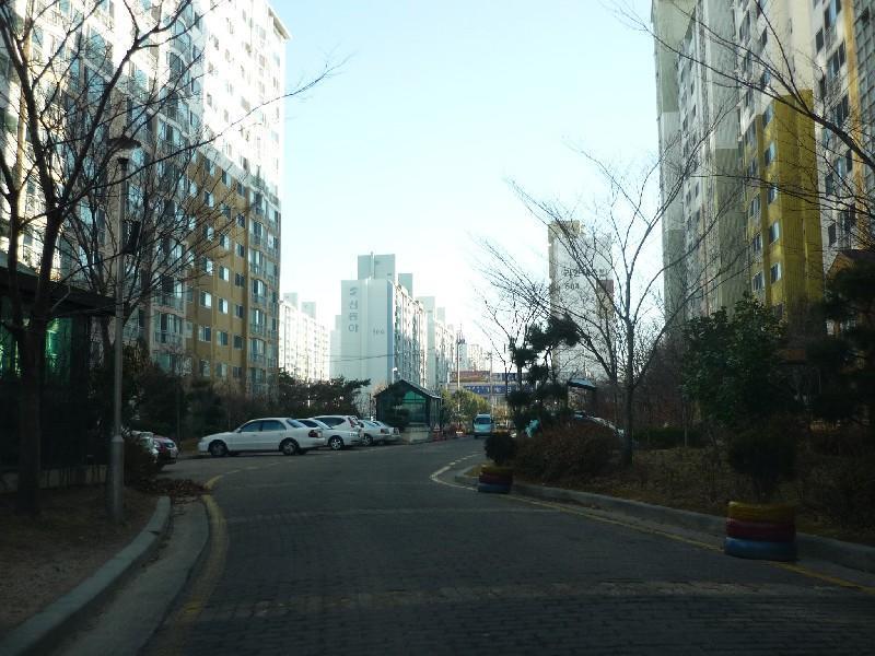 P1010733