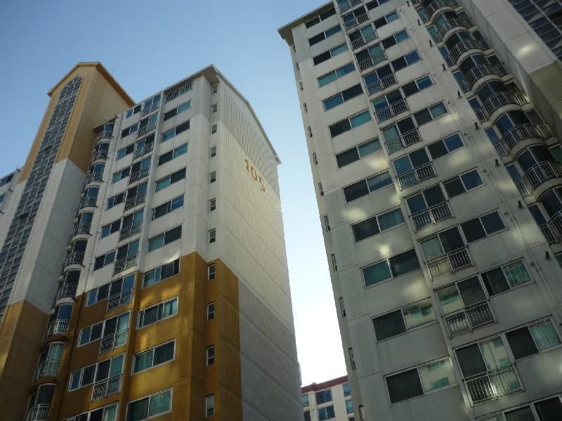 P1010724
