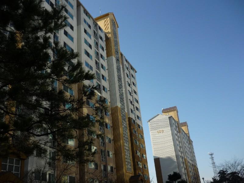 P1010737