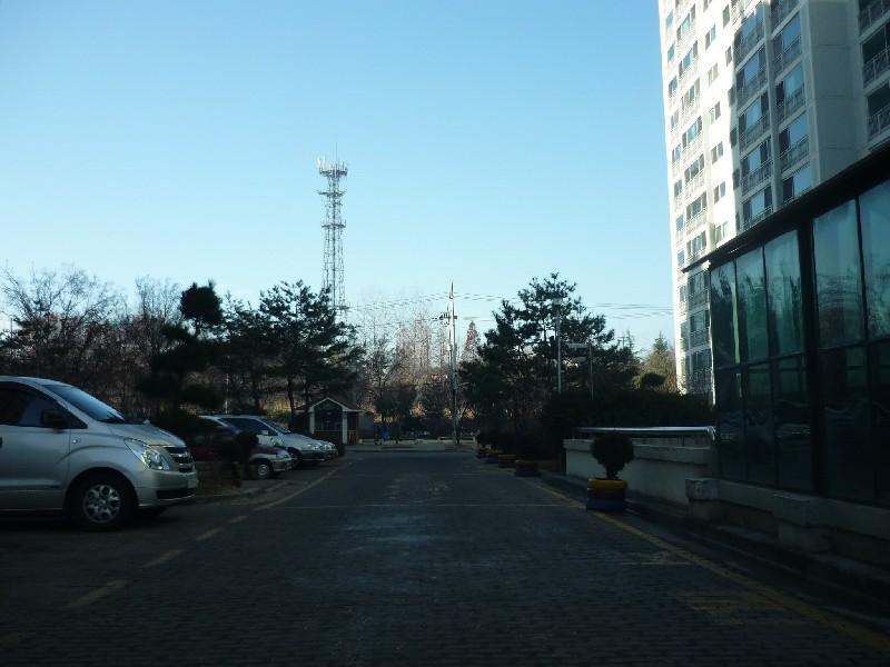 P1010739