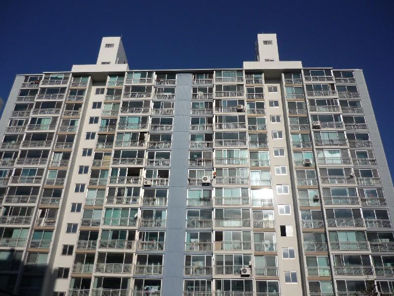 P1010858