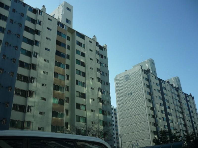 P1010862